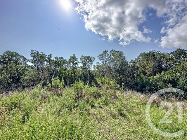 maison à vendre - 3 pièces - 124.02 m2 - ZONZA - 201 - CORSE - Century 21 Demeures Conseils