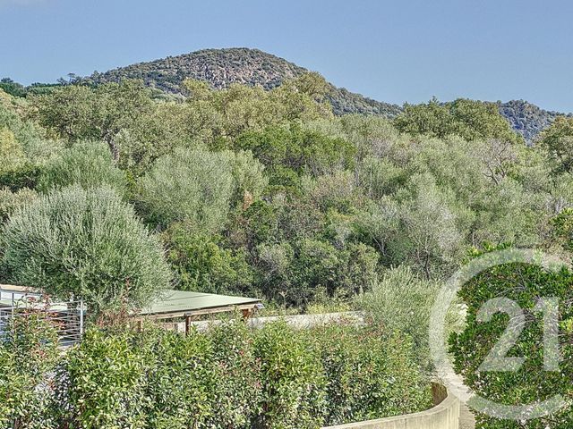 maison à vendre - 3 pièces - 124.02 m2 - ZONZA - 201 - CORSE - Century 21 Demeures Conseils