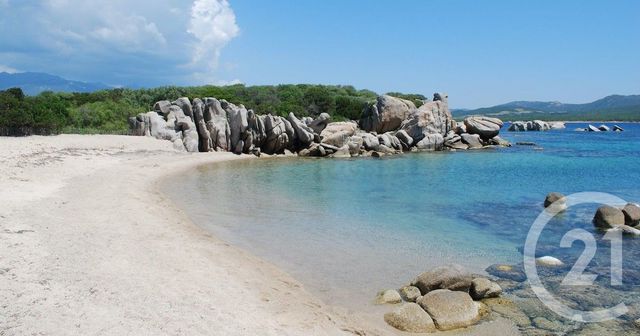 maison à vendre - 5 pièces - 162.0 m2 - PIANOTOLLI CALDARELLO - 201 - CORSE - Century 21 Demeures Conseils