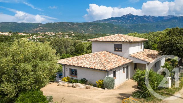 maison à vendre - 5 pièces - 162.0 m2 - PIANOTOLLI CALDARELLO - 201 - CORSE - Century 21 Demeures Conseils