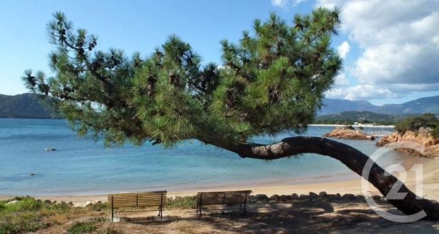 maison à louer - 4 pièces - 101.0 m2 - LECCI - 201 - CORSE - Century 21 Demeures Conseils