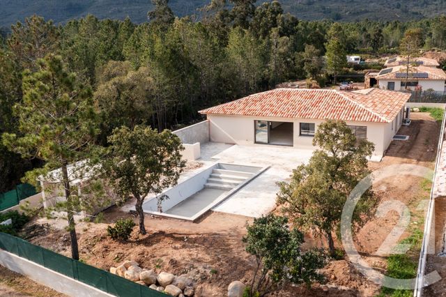 maison - PORTO VECCHIO - 201