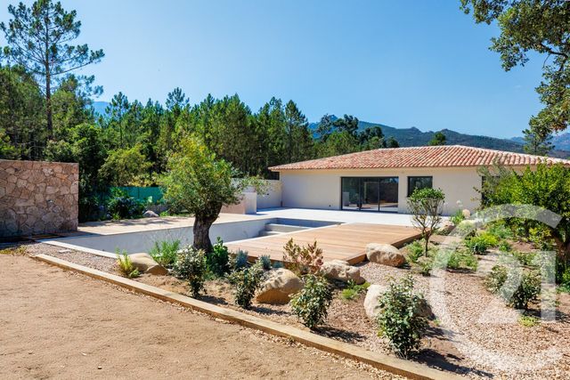 maison - PORTO VECCHIO - 201