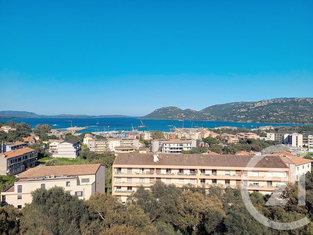 Appartement Studio à vendre - 1 pièce - 28.0 m2 - PORTO VECCHIO - 201 - CORSE - Century 21 Demeures Conseils
