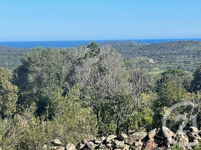 maison - PORTO VECCHIO - 201
