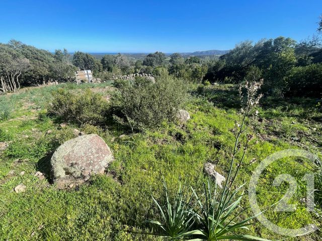 maison à vendre - 6 pièces - 262.0 m2 - PORTO VECCHIO - 201 - CORSE - Century 21 Demeures Conseils