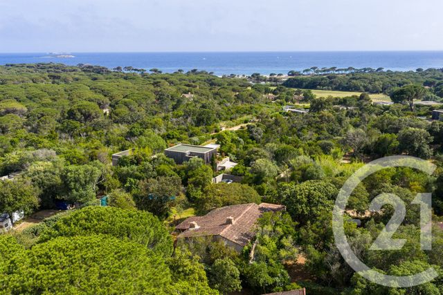 maison - PORTO VECCHIO - 201
