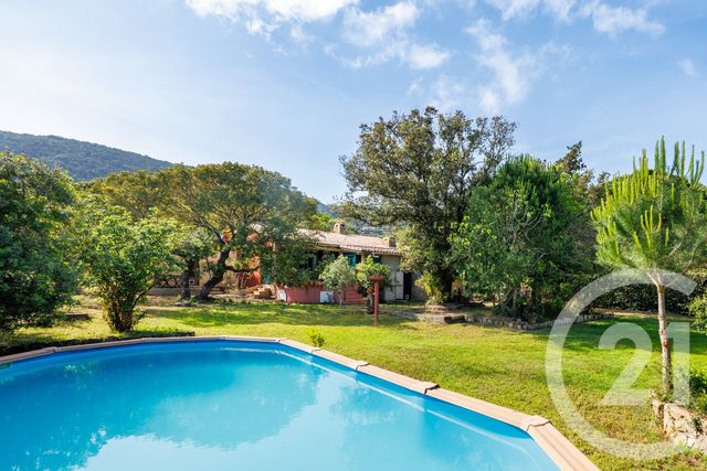 maison - PORTO VECCHIO - 201