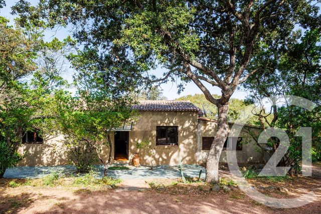 maison à vendre - 4 pièces - 118.89 m2 - PORTO VECCHIO - 201 - CORSE - Century 21 Demeures Conseils
