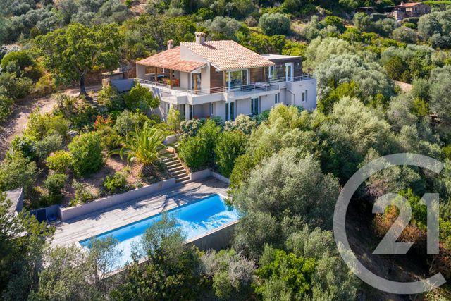 maison - PORTO VECCHIO - 201