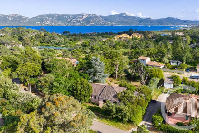 maison - PORTO VECCHIO - 201