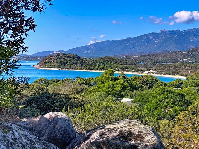 maison à vendre - 6 pièces - 160.0 m2 - LECCI - 201 - CORSE - Century 21 Demeures Conseils