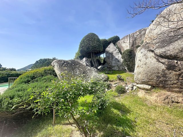 maison à vendre - 7 pièces - 233.0 m2 - ZONZA - 201 - CORSE - Century 21 Demeures Conseils