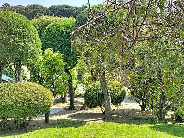 maison à vendre - 7 pièces - 233.0 m2 - ZONZA - 201 - CORSE - Century 21 Demeures Conseils