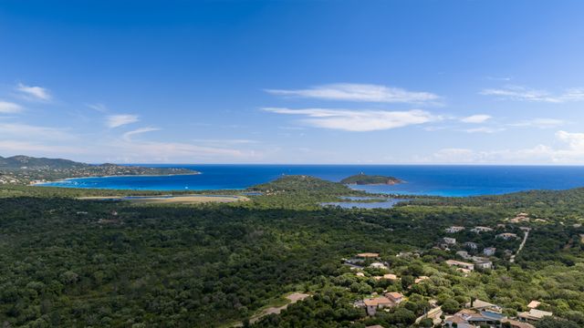 maison à vendre - 8 pièces - 200.0 m2 - ZONZA - 201 - CORSE - Century 21 Demeures Conseils