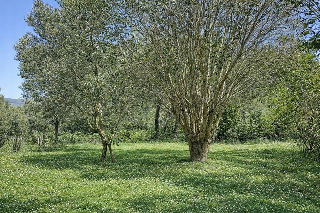 maison à vendre - 9 pièces - 224.0 m2 - PORTO VECCHIO - 201 - CORSE - Century 21 Demeures Conseils