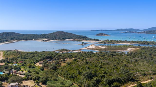 maison à vendre - 8 pièces - 257.0 m2 - ZONZA - 201 - CORSE - Century 21 Demeures Conseils