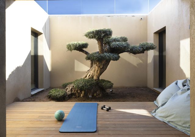 maison à louer - 7 pièces - 350.0 m2 - ZONZA - 201 - CORSE - Century 21 Demeures Conseils