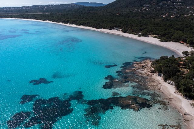 maison à louer - 7 pièces - 350.0 m2 - ZONZA - 201 - CORSE - Century 21 Demeures Conseils