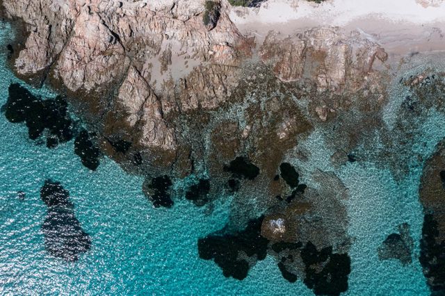 maison à louer - 7 pièces - 350.0 m2 - ZONZA - 201 - CORSE - Century 21 Demeures Conseils