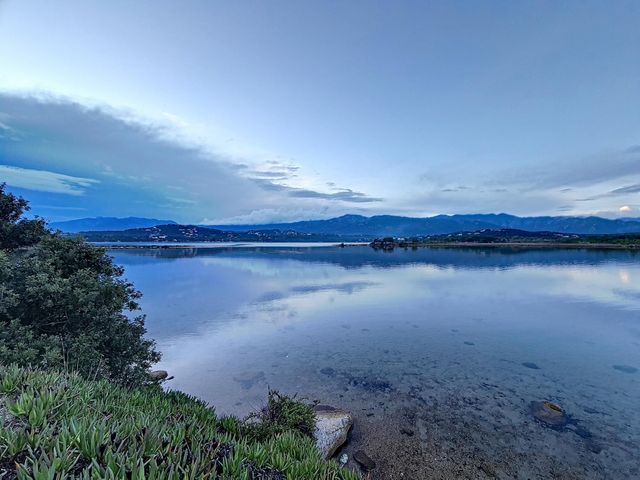 maison à louer - 7 pièces - 250.0 m2 - LECCI - 201 - CORSE - Century 21 Demeures Conseils