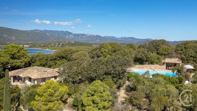 maison à louer - 7 pièces - 250.0 m2 - LECCI - 201 - CORSE - Century 21 Demeures Conseils