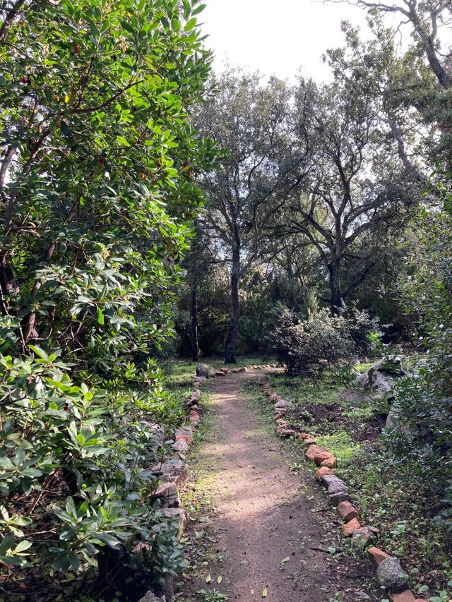 maison à louer - 7 pièces - 250.0 m2 - LECCI - 201 - CORSE - Century 21 Demeures Conseils