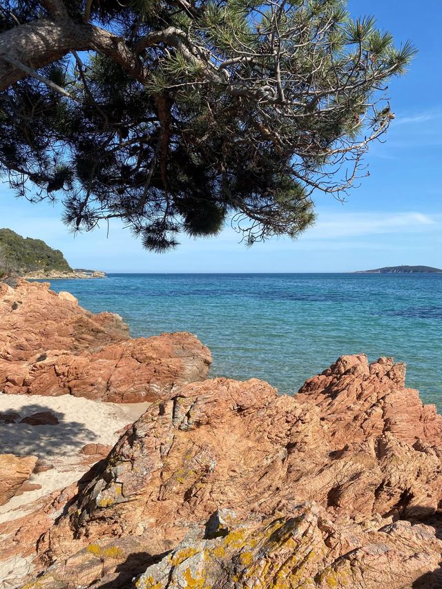 maison à louer - 7 pièces - 250.0 m2 - LECCI - 201 - CORSE - Century 21 Demeures Conseils