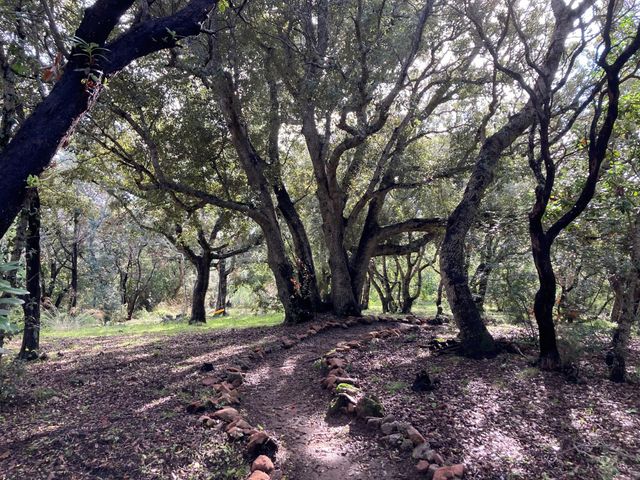 maison à louer - 7 pièces - 250.0 m2 - LECCI - 201 - CORSE - Century 21 Demeures Conseils