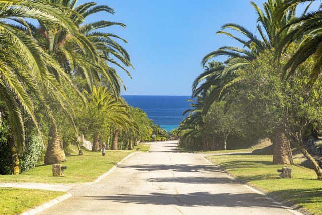 maison à louer - 6 pièces - 200.0 m2 - ZONZA - 201 - CORSE - Century 21 Demeures Conseils