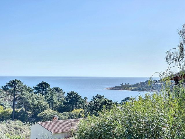 Afficher la photo en grand maison à vendre - 16 pièces - 418.49 m2 - ZONZA - 201 - CORSE - Century 21 Demeures Conseils