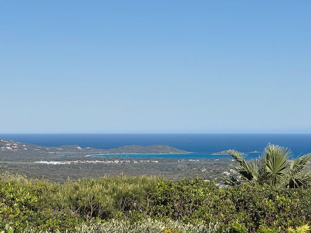 maison - PORTO VECCHIO - 201
