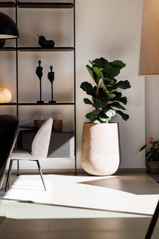 maison à louer - 5 pièces - 200.0 m2 - ZONZA - 201 - CORSE - Century 21 Demeures Conseils