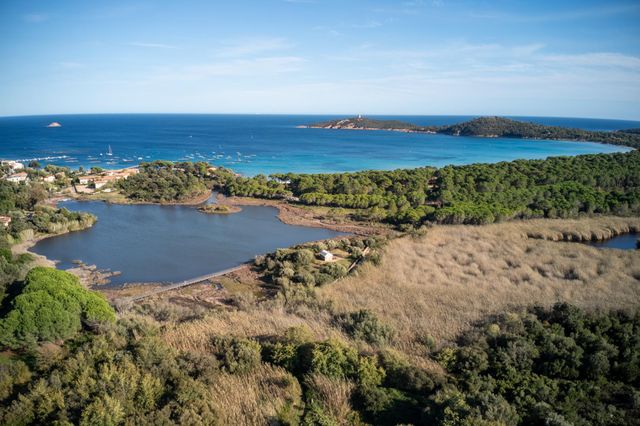 maison à louer - 5 pièces - 200.0 m2 - ZONZA - 201 - CORSE - Century 21 Demeures Conseils