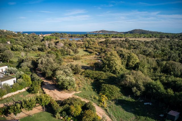 maison à louer - 5 pièces - 200.0 m2 - ZONZA - 201 - CORSE - Century 21 Demeures Conseils