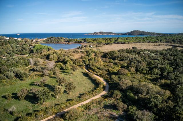 maison à louer - 5 pièces - 200.0 m2 - ZONZA - 201 - CORSE - Century 21 Demeures Conseils