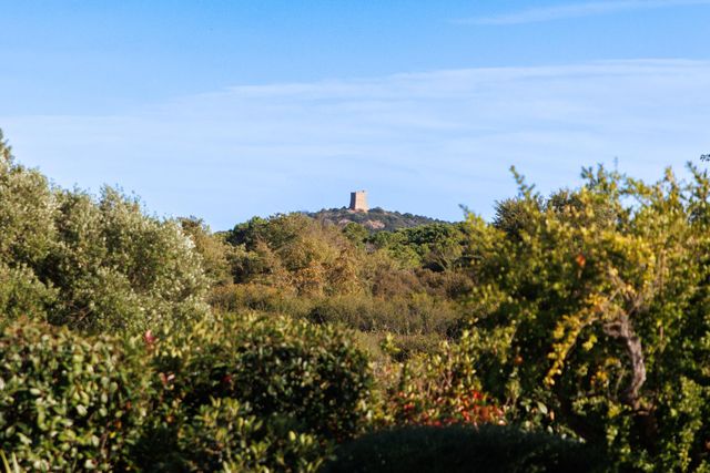 maison à louer - 5 pièces - 200.0 m2 - ZONZA - 201 - CORSE - Century 21 Demeures Conseils