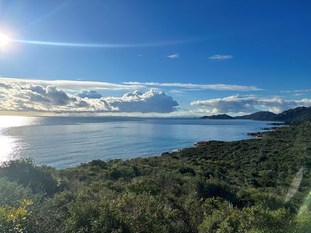 maison - PORTO VECCHIO - 201