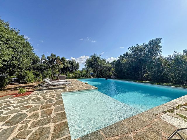 maison - PORTO VECCHIO - 201