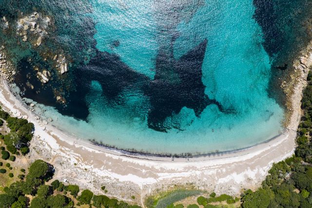 Afficher la photo en grand maison à louer - 7 pièces - 300.0 m2 - ZONZA - 201 - CORSE - Century 21 Demeures Conseils