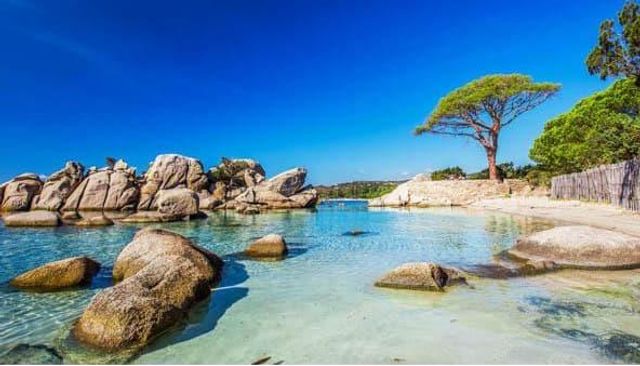 maison à louer - 5 pièces - 200.0 m2 - PORTO VECCHIO - 201 - CORSE - Century 21 Demeures Conseils