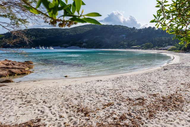 maison à vendre - 10 pièces - 200.0 m2 - SARI SOLENZARA - 201 - CORSE - Century 21 Demeures Conseils